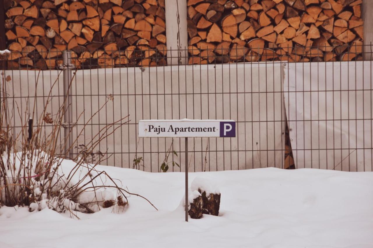 Paju Apartement With Sauna Võru Buitenkant foto